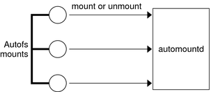 image:This graphic illustrates that the autofs service starts the automount command.