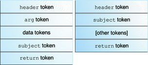 image:Graphic shows two typical audit record structures. The kernel record contains data tokens before the subject token.
