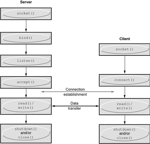 image:This graphic depicts data flow between a client and a server, using the accept/connect and read/write function pairs.